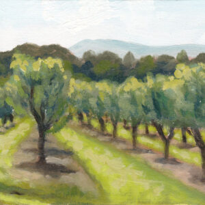Cherry Orchard Provence