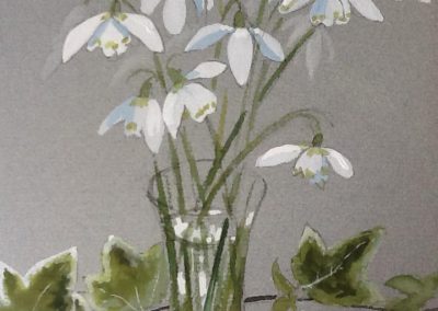 Snowdrops and Ivy