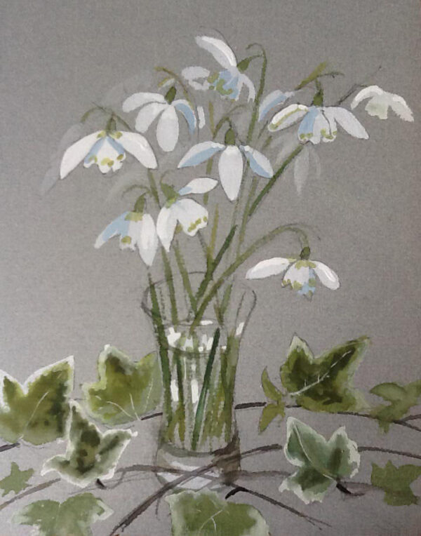 Snowdrops and Ivy