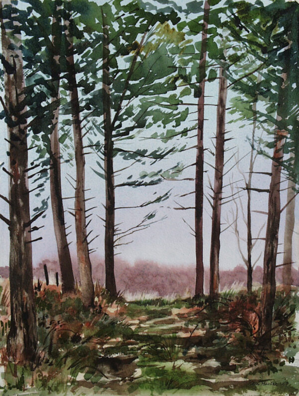Pines at Holt